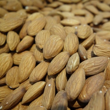 Amandel met vlies vierkant