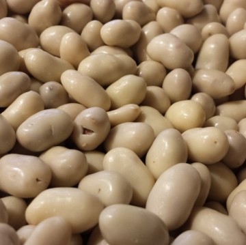 Chocopinda wit vierkant