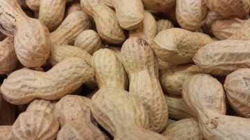 Pinda's in dop Giant Israël