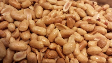 Pinda's Virginia XXL