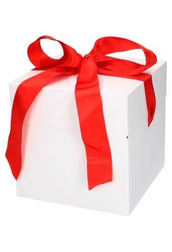 Geschenkdoos regalo wit mat  rood15535118