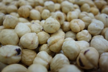 Hazelnoot geroosterd