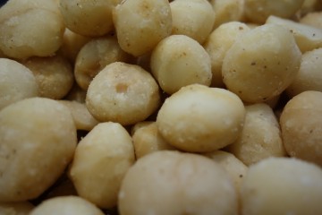 Macadamia geroosterd