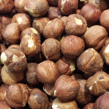 Rauwe hazelnoot vlies vierkant