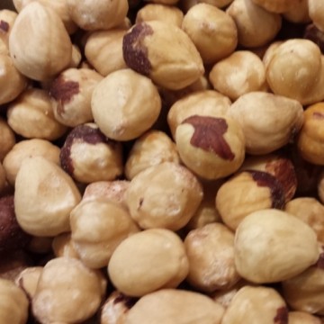 Rauwe hazelnoot wit vierkant